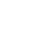 Anatida Media